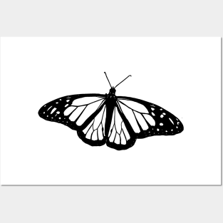 Monarch Butterfly Posters and Art